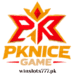 PKNICE Game